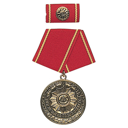Medaile vyznamenání MDI 'F.TREUE DIENSTE' 20let ZLATÁ