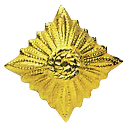 Odznak hodnostní NVA hvězda GOLD - ZLATÁ