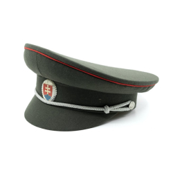 Brigadýrka SK stříbrný odznak, červená linka ZELENÁ